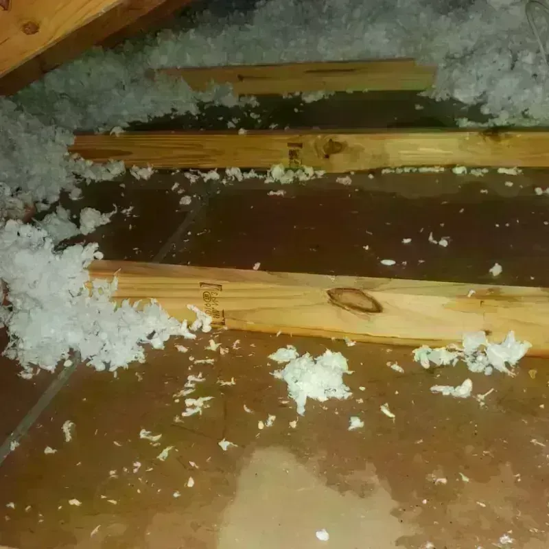 Attic Water Damage in Sabina, OH